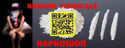 твердый Кингисепп