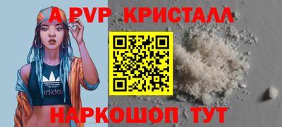 твердый Кингисепп