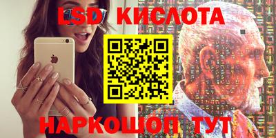 твердый Кингисепп